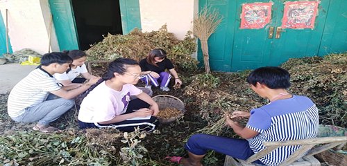 1537236282740240.png 9_副本.png