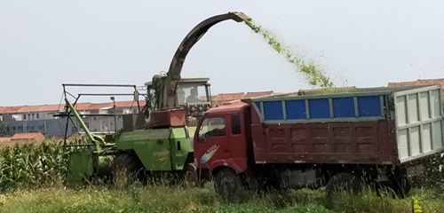 1537236120484014.png 4_副本.png